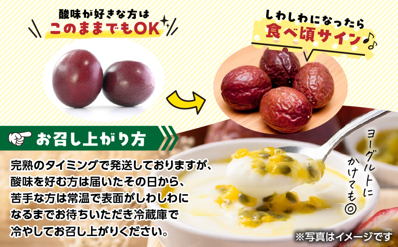 農家直送パッションフルーツ 2.5kg箱 家庭用（サイズ混合）　A201-001