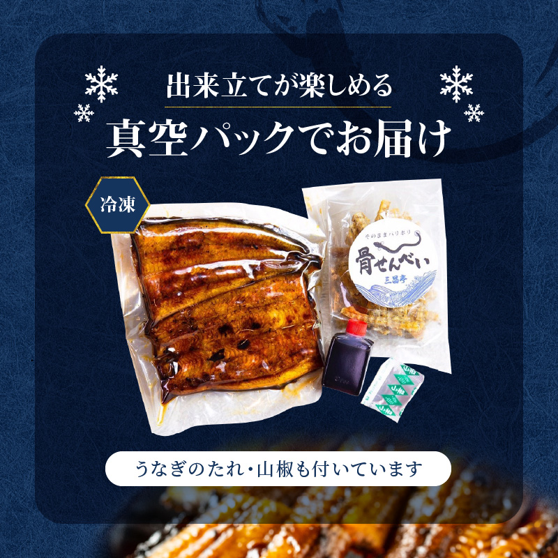 創業１４０年！！老舗うなぎ屋のうなぎのかば焼き1尾と骨せんべいセット - うなぎ かば焼き 100g 1枚 骨せんべい 30g 1袋 セット 真空パック シーフード 加工品 老舗 土用 丑の日