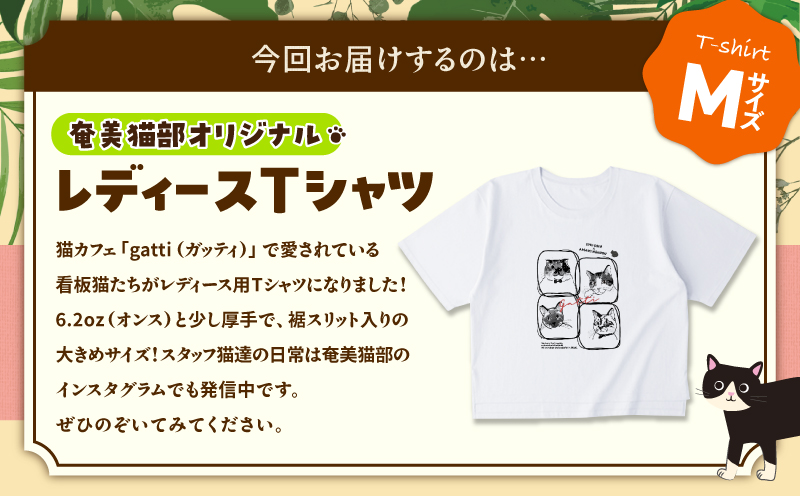 【奄美の保護猫支援（保護猫フード10日分）】＋レディースTシャツ　A071-011