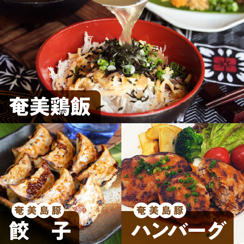 【奄美鶏飯】と【奄美島豚】餃子・ハンバーグのセット　A011-004