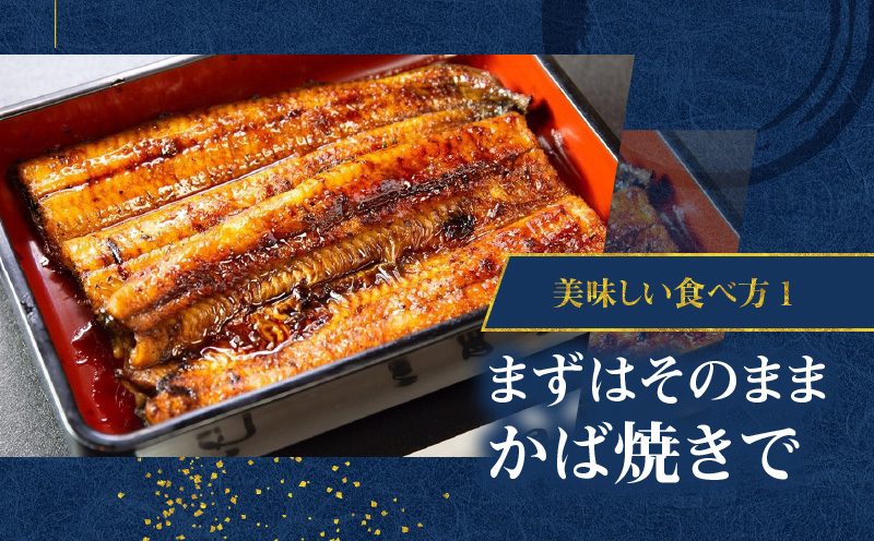 【全12回定期便】老舗うなぎ屋「三昌亭」の鹿児島県産うなぎかば焼き 100g×2セット　A040-T03