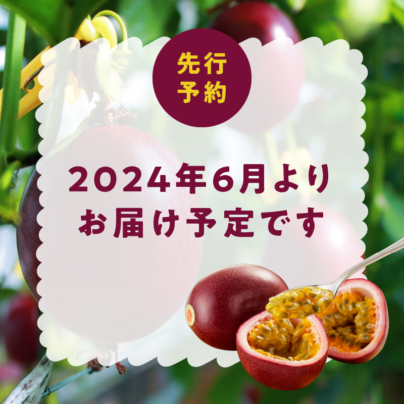 【2024年発送】 農家直送 奄美大島産　パッションフルーツ　家庭用（8個入りM.Lｻｲｽﾞ混合）【21年度品評会金賞】 - 奄美大島産 果物 先行予約 2024年 6月 ビタミン 葉酸 トロピカルフルーツ 鹿児島 夏の果物 旬 8個入り サイズ混合 お試し