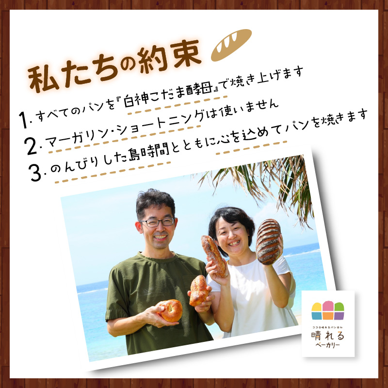 【10月1日価格改定（値上げ）予定】晴れるベーカリーの朝食パンセット - 奄美市 奄美大島 9種類 食事に合うシンプルなパン 国産小麦 白神こだま酵母 マーガリン不使用 ショートニング 不使用 おやつ もっちり ( 食パン カンパーニュ バゲット クロワッサン 塩バター リュステック 玄米 ソフトフランス )