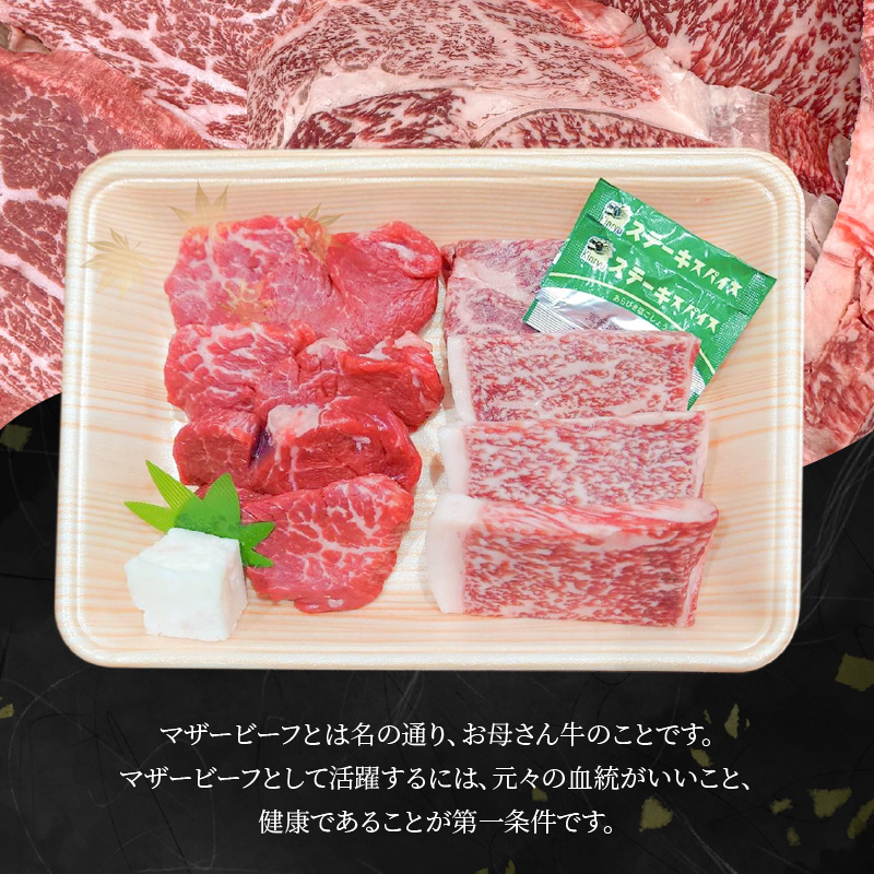 奄美マザービーフ　　ヒレ＆ロース カットステーキ - 牛肉 奄美マザービーフ ロース カット ステーキ 鹿児島黒牛 マザービーフ 国産 内閣総理大臣賞受賞 お取り寄せグルメ 鹿児島県 奄美市