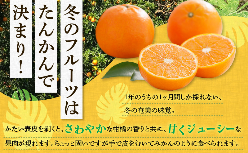 【2026年先行予約】奄美のたんかん贈答用 3kg（皮むき器・観光情報誌付）　A052-022-02