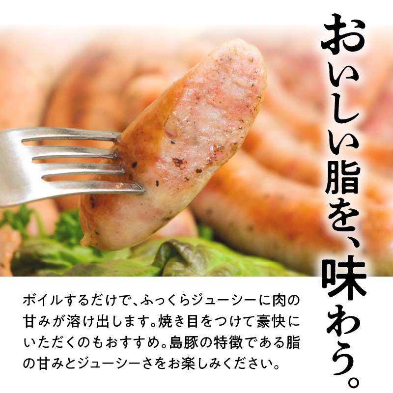 奄美島豚 あかりんとん ソーセージミニセット　A008-001