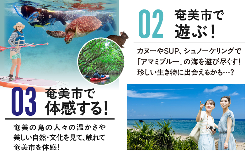 【奄美航空ツーリスト】ふるさと納税旅行クーポン30,000円　A179-FT004