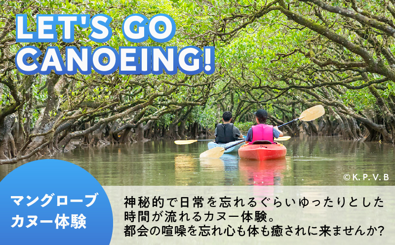 奄美市に泊まるふるさと納税旅行クーポン【15,000円分】 A184-005