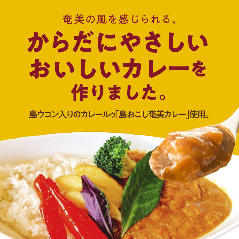 【10月1日価格改定（値上げ）予定】パパイヤ入り奄美カレー 180g 7個セット - 鹿児島県 奄美市 奄美大島 レトルトカレー チキンカレー 島ウコン 青パパイヤ入り 島料理 島じゅうりまごころ便パッケージ 湯銭 加熱　AG04