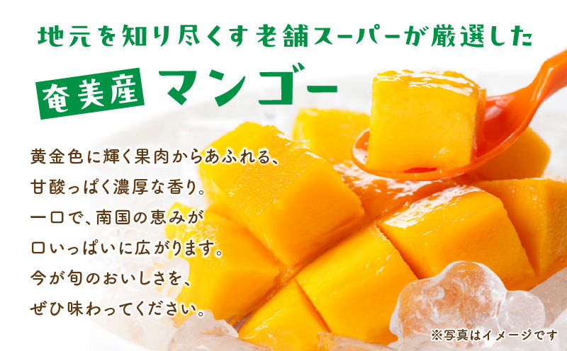奄美大島産マンゴー約1kg（サイズ混合）　A050-008