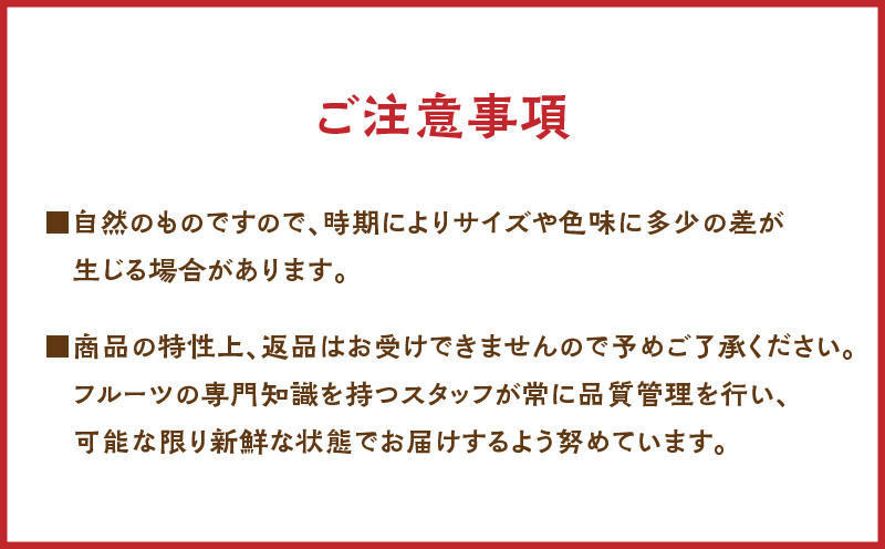 パッションフルーツ 家庭用 約1kg　A194-001-01