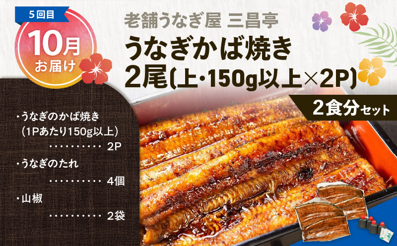 【全5回】奄美バラエティ定期便　A000-T2401