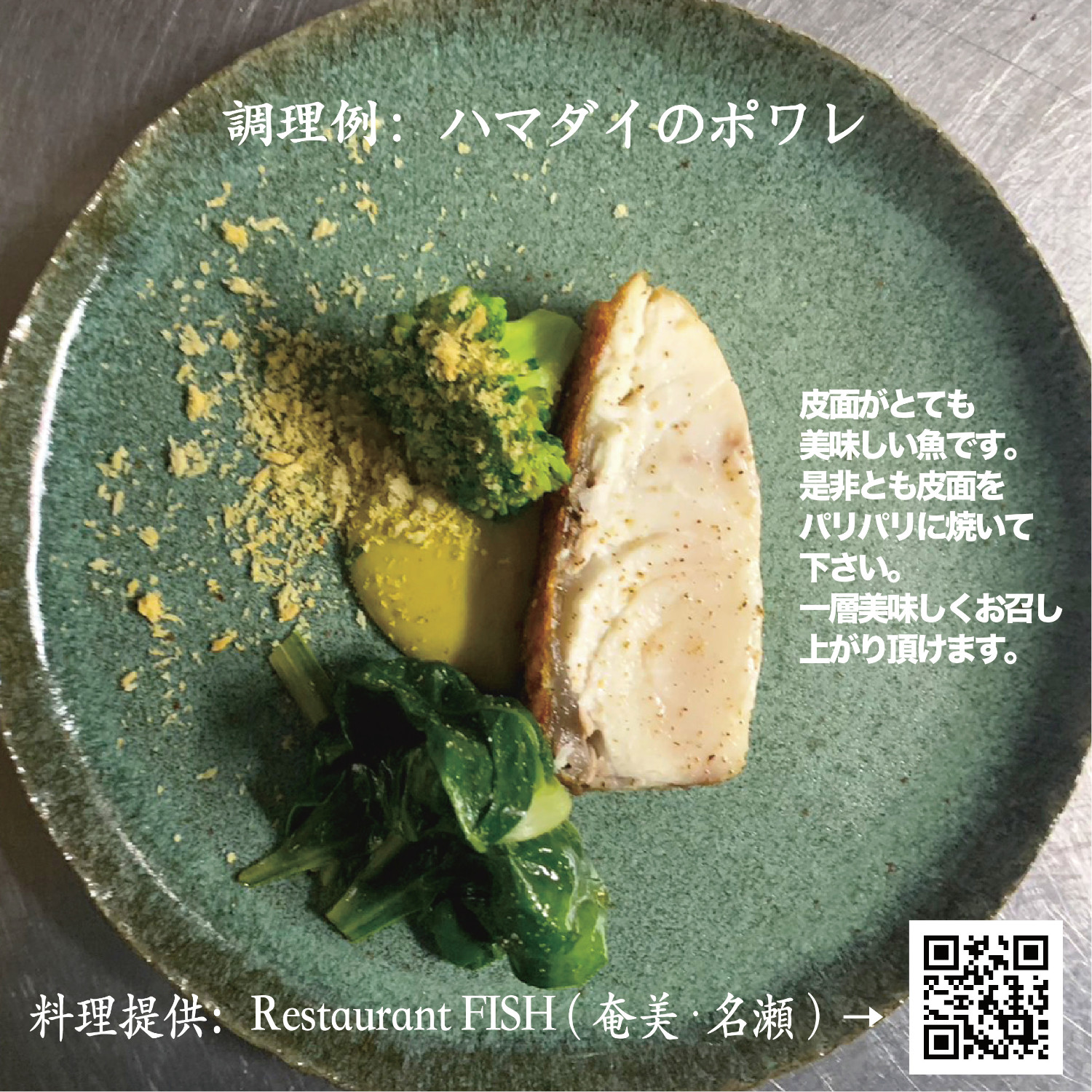 【10月1日価格改定（値上げ）予定】高級魚「ハマダイ(オナガ)」切り身500g（甘塩）奄美大島老舗鮮魚店が加工製造 - 小分け 真空パック ハマダイ 高級魚 オナガ 白身 甘塩