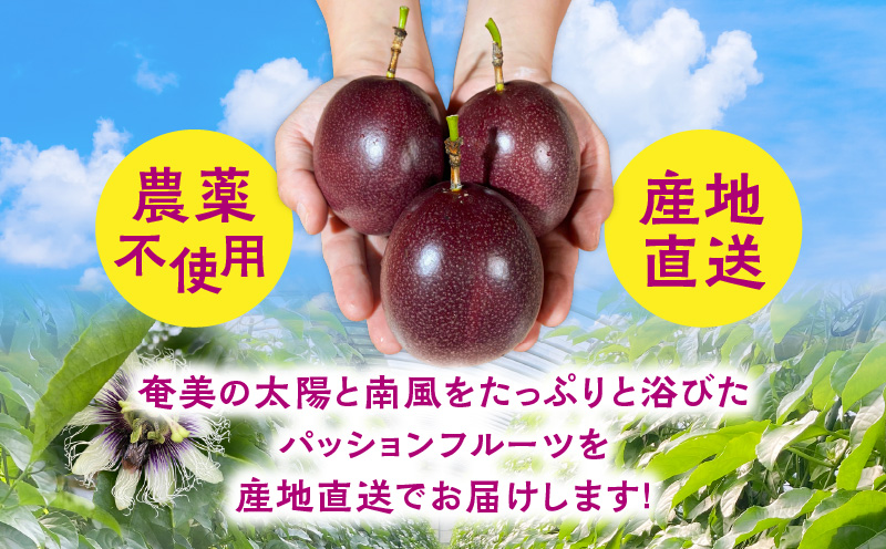 パッションフルーツ 家庭用 約1kg　A194-001-01