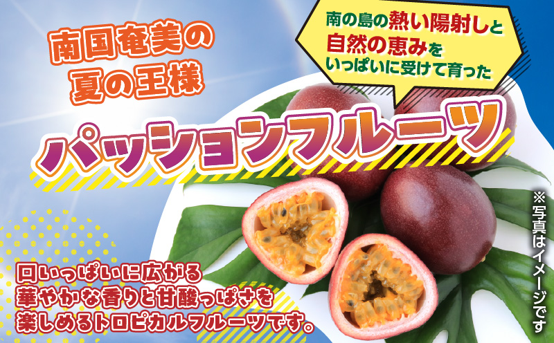 農家直送パッションフルーツ 2.5kg箱 家庭用（サイズ混合）　A201-001