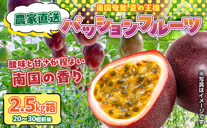 農家直送パッションフルーツ 2.5kg箱 家庭用（サイズ混合）　A201-001