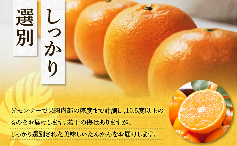 【2026年先行予約】奄美のたんかん贈答用 3kg（皮むき器・観光情報誌付）　A052-022-02