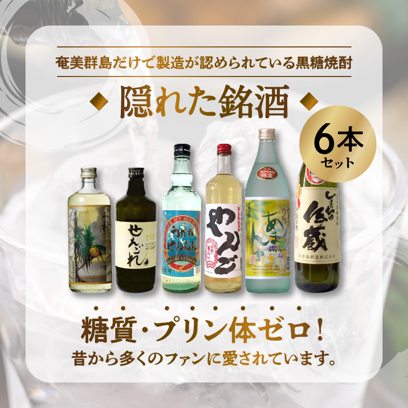 【地域限定品】 奄美黒糖焼酎 隠れた銘酒 6本セット - 飲み比べ 6本 セット 地域限定 900ml 720ml 500ml 瓶 鹿児島 奄美市 奄美大島 奄美群島