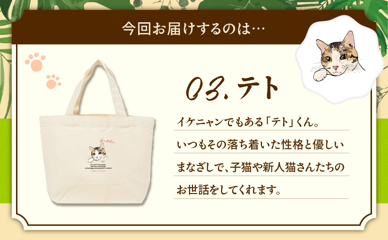 【奄美の保護猫支援（ワクチン代）】＋ミニトートバッグ（テト）　A071-010-03