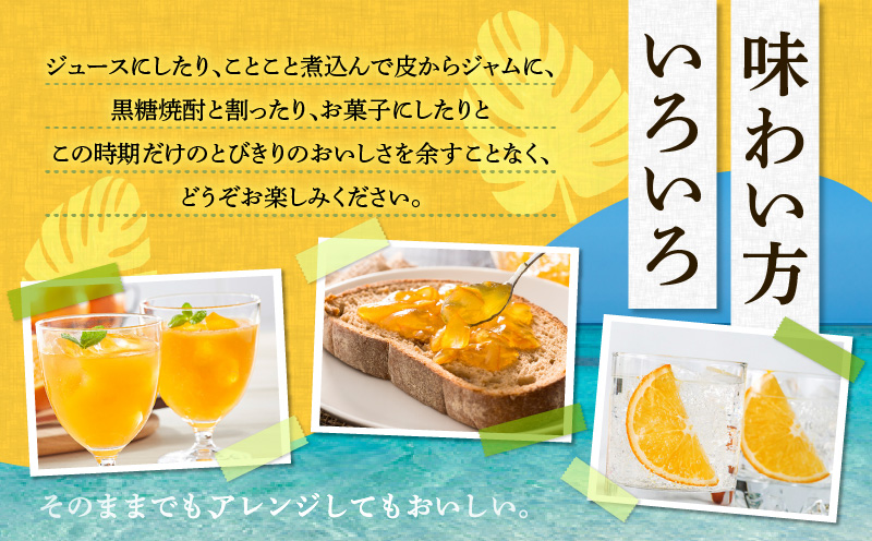 【2026年先行予約】奄美のたんかん贈答用 3kg（皮むき器・観光情報誌付）　A052-022-02