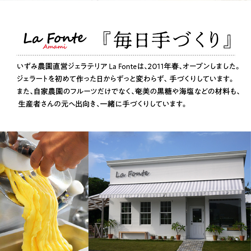 【La Fonte】手づくりジェラート奄美6個セット - 鹿児島県 奄美市 奄美大島 ラフォンテ いずみ農園直営 毎日手づくり フレッシュ 旬のおすすめフレーバー おまかせ (パッションフルーツ / マンゴー / たんかん / スモモ / 奄美黒糖 / 海塩 ) 冷凍 ギフト 贈答用にもおすすめ