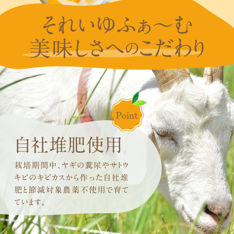 【10月1日価格改定（値上げ）予定】【2024年先行予約分】それいゆパッションフルーツ１ｋｇ - パッションフルーツ 8〜12玉 2024 先行予約 1kg 奄美産 農家直送 果物 ビタミン 葉酸 トロピカルフルーツ 南国フルーツ