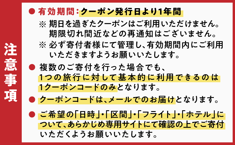 【直行チャーター便ツアーにも使える！】奄美市に泊まるふるさと納税旅行クーポン【9,000円分】　A184-003