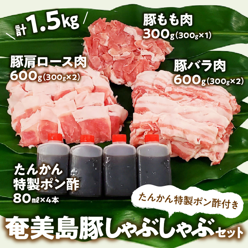 【奄美島豚】しゃぶしゃぶセット1.5kg（たんかん特製ポン酢付き） - 豚肉 セット 1.5kg 豚肉 豚バラ 豚肩ロース 豚もも肉 脂身に旨み ポン酢 しゃぶしゃぶ 奄美 島豚 黒豚 冬 鍋 セットたんかん 特製ポン酢