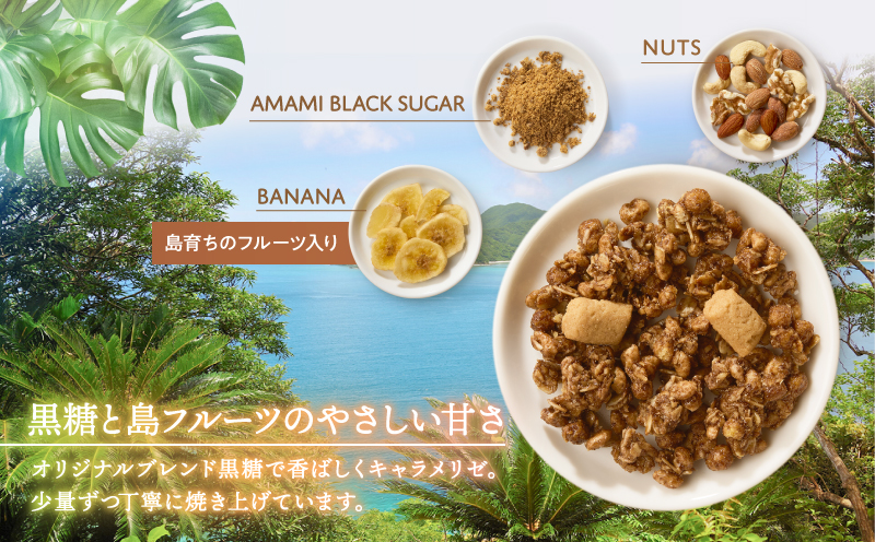 Amami フルーツグラノーラ 約200g 黒糖 保存料無添加　A198-001