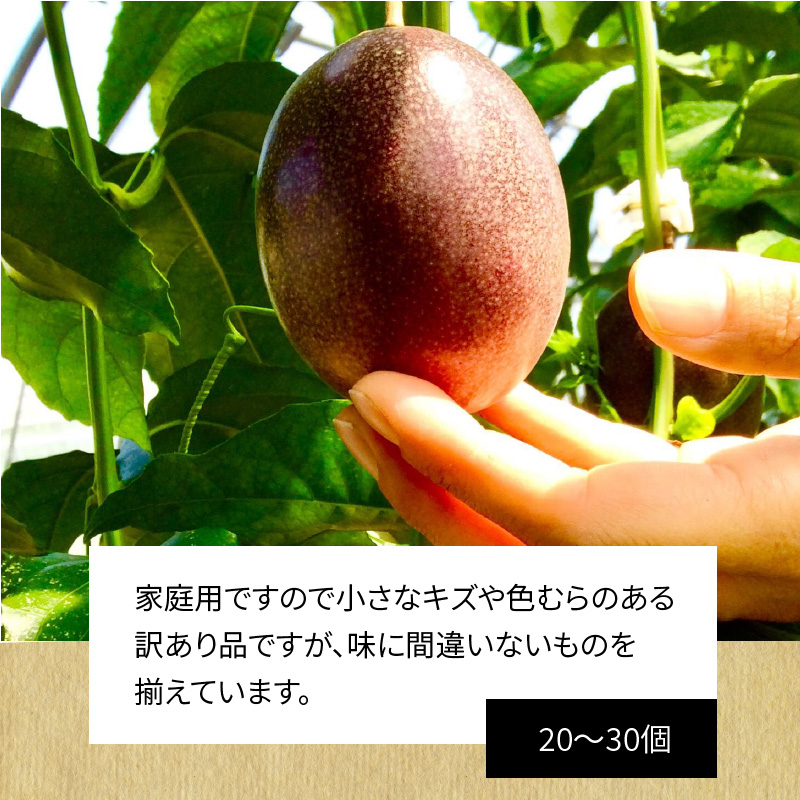 【10月1日価格改定（値上げ）予定】【2024年先行予約分】奄美のパッションフルーツ家庭用2kg - パッションフルーツ 2024 先行予約 2kg 奄美産 農家直送 果物 ビタミン 葉酸 トロピカルフルーツ 南国フルーツ