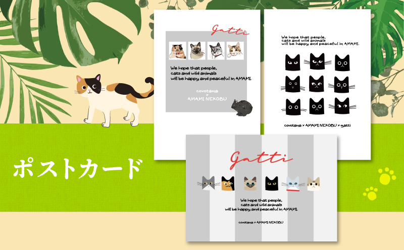 【奄美の保護猫支援（ワクチン代）】＋ポストカード＆クリアファイルセット　A071-009