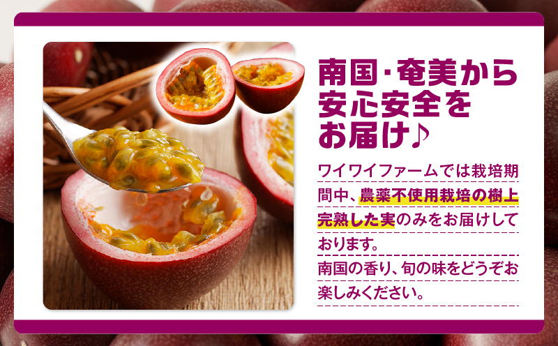 【2026年先行予約】《贈答用》完熟パッションフルーツ3kg　A067-003