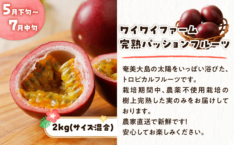 【全2回】厳選！奄美トロピカルフルーツ定期便　A000-T2402