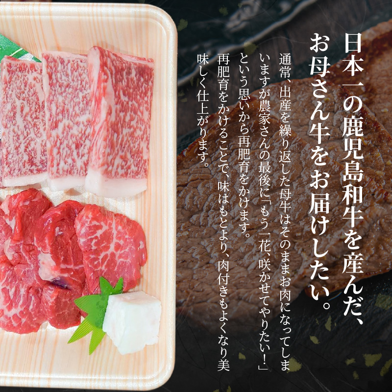 奄美マザービーフ　　ヒレ＆ロース カットステーキ - 牛肉 奄美マザービーフ ロース カット ステーキ 鹿児島黒牛 マザービーフ 国産 内閣総理大臣賞受賞 お取り寄せグルメ 鹿児島県 奄美市