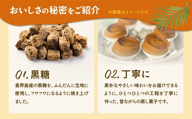 【奄美の保護猫支援（保護猫フード10日分）】＋ふくらかん（黒糖）10個入り　A071-005
