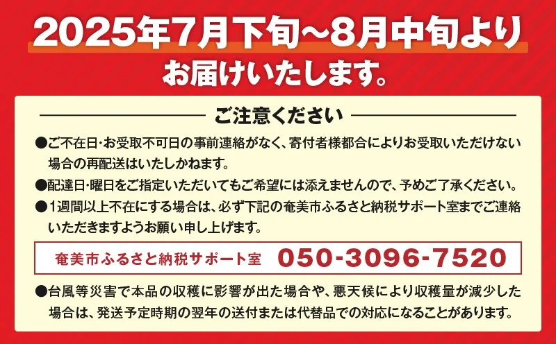 奄美産時計草（パッションフルーツ） 約1kg　A021-048-01