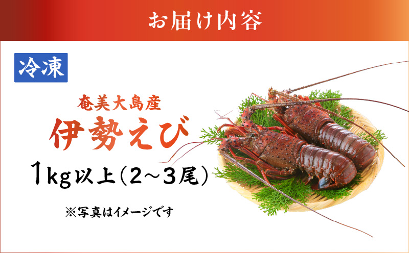 【10月1日価格改定（値上げ）予定】伊勢えび約1kg以上（2尾～3尾）　A050-002