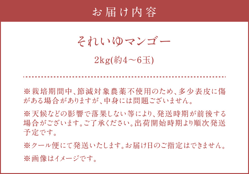 【10月1日価格改定（値上げ）予定】【2024年先行予約分】それいゆマンゴー２ｋｇ - マンゴー 完熟 ミツバチ受粉 ギフト デザート ご褒美 ビタミン トロピカル フルーツ 果物 ご当地 特産品 お土産 奄美大島 それいゆふぁ〜む