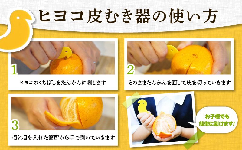 【2026年先行予約】奄美のたんかん贈答用 3kg（皮むき器・観光情報誌付）　A052-022-02