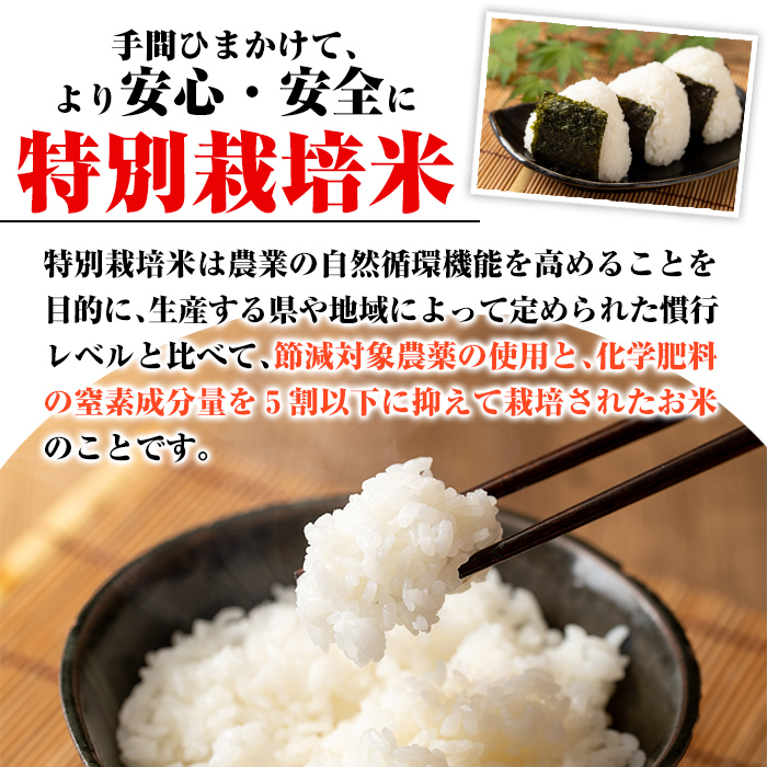 isa745 《数量限定》令和7年産 新米 特別栽培米 伊佐米永池 にじのきらめき(5kg) 伊佐市 永池 特産品 お米 米 白米 精米 伊佐米 にじのきらめき 5kg 【エコファーム永池】