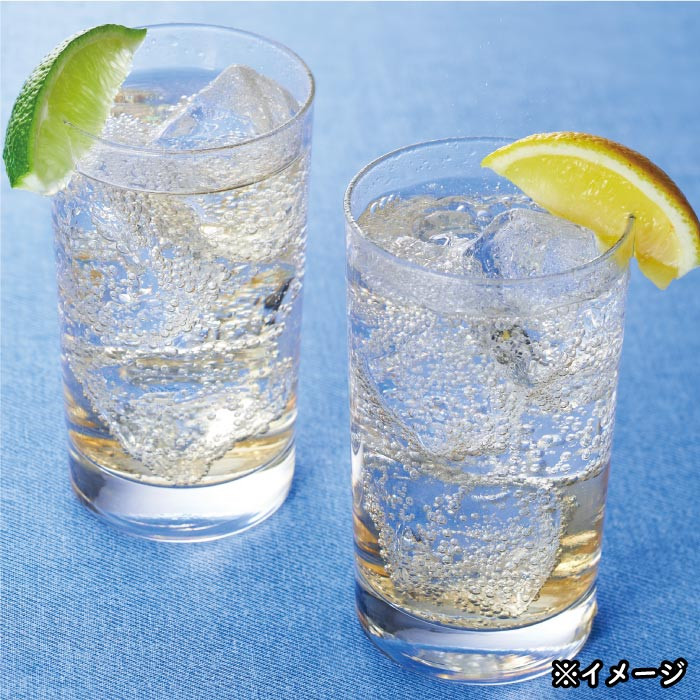 isa592 【定期便6回】財寶温泉 レモン水(500ml×48本×6回・合計288本)レモンフレーバー ペットボトル カロリーオフ 天然アルカリ温泉水 使用 瀬戸内レモン 果汁 エキス使用 鹿児島県 伊佐市 で製造 甘さ控えめ 水分補給【財宝】