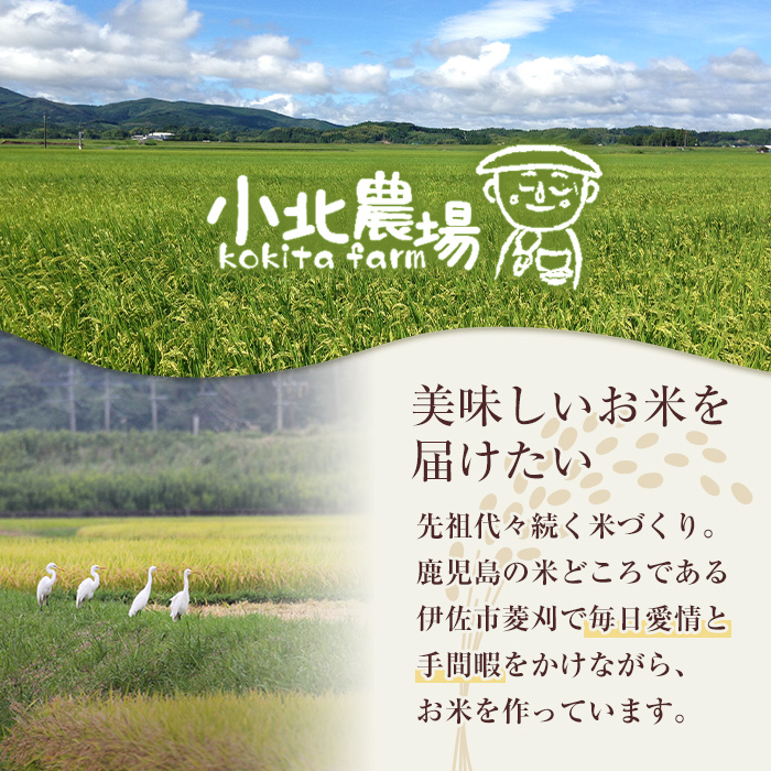 isa791 《数量限定・3回定期便》令和7年産 小北農場の新米 伊佐黄金米〈ヒノヒカリ〉(計30kg・5kg×2袋×3回) 鹿児島 伊佐 新米 お米 30kg 定期便 3回 特別栽培米 伊佐米 白米 ヒノヒカリ ひのひかり おにぎり ごはん 【小北農場】