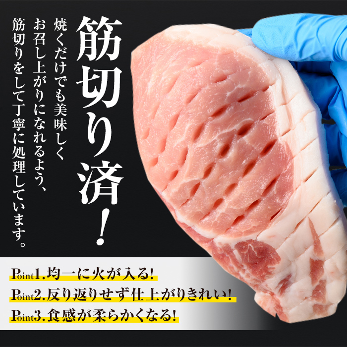 isa683 【定期便3回】小分け・真空パック！九州産豚肉3種セット(合計9.3kg・3.1kg×全3回)  バラスライス ロース とんかつ 生姜焼き 真空包装 真空パック 小分け ぶたにく 豚 肉 詰合せ 詰め合わせ 食べ比べ 冷凍 【サンキョーミート株式会社】