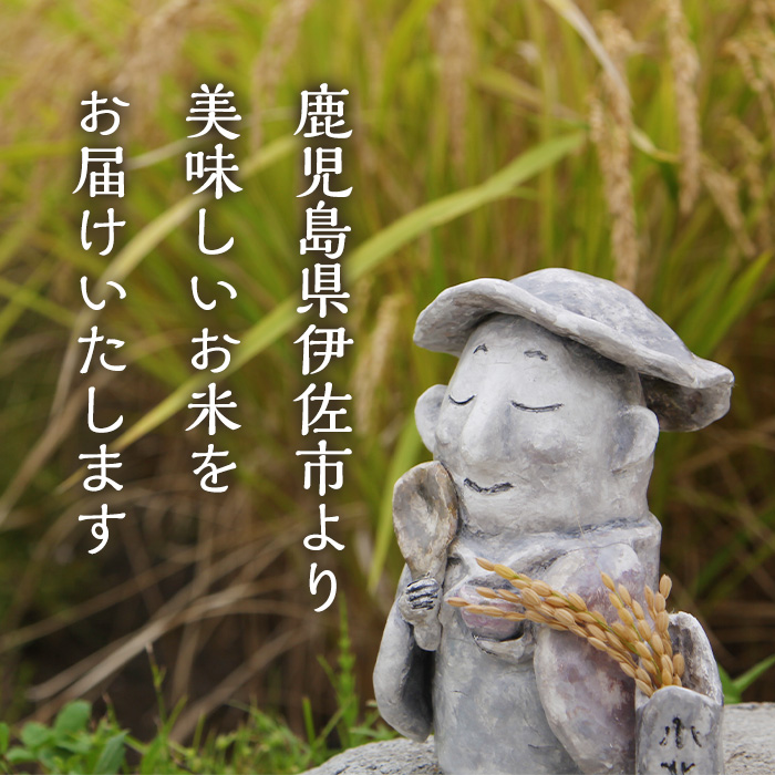 isa792 《数量限定・6回定期便》令和7年産 小北農場の新米 伊佐黄金米〈ヒノヒカリ〉(計60kg・5kg×2袋×6回) 鹿児島 伊佐 新米 お米 60kg 定期便 6回 特別栽培米 伊佐米 白米 ヒノヒカリ ひのひかり おにぎり ごはん 【小北農場】