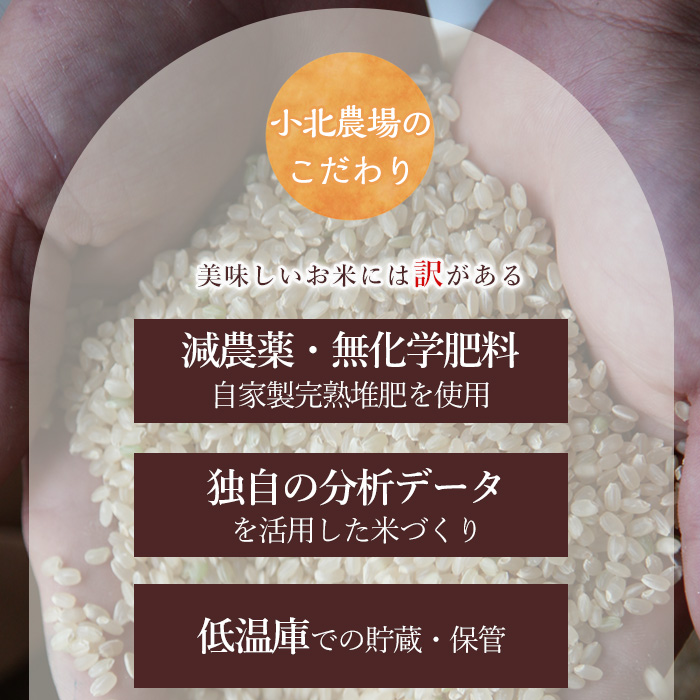 isa792 《数量限定・6回定期便》令和7年産 小北農場の新米 伊佐黄金米〈ヒノヒカリ〉(計60kg・5kg×2袋×6回) 鹿児島 伊佐 新米 お米 60kg 定期便 6回 特別栽培米 伊佐米 白米 ヒノヒカリ ひのひかり おにぎり ごはん 【小北農場】