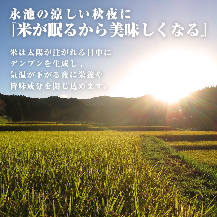 isa745 《数量限定》令和7年産 新米 特別栽培米 伊佐米永池 にじのきらめき(5kg) 伊佐市 永池 特産品 お米 米 白米 精米 伊佐米 にじのきらめき 5kg 【エコファーム永池】