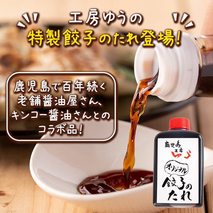 isa781 ＜2025年12月発送分(12月中に発送)＞黒豚にんにく餃子(計152個・8個入り×19P) 鹿児島 生餃子 ギョウザ 黒豚 豚肉 冷凍食品 おかず おつまみ 惣菜 小分け 焼くだけ 簡単調理 冷凍便 【工房ゆう】