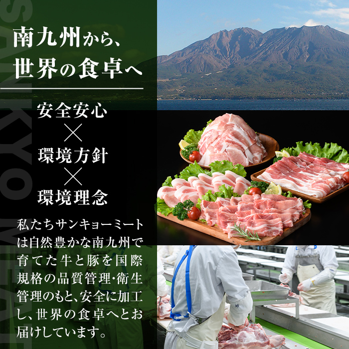 isa647 【定期便6回】豚肉生活応援定期便B(合計12.3kg) 国産 切り落とし バラスライス 肩ロース ロース しゃぶしゃぶ 生姜焼き 真空包装 真空パック 小分け ぶたにく 豚 肉 詰合せ 詰め合わせ 冷凍 【サンキョーミート株式会社】