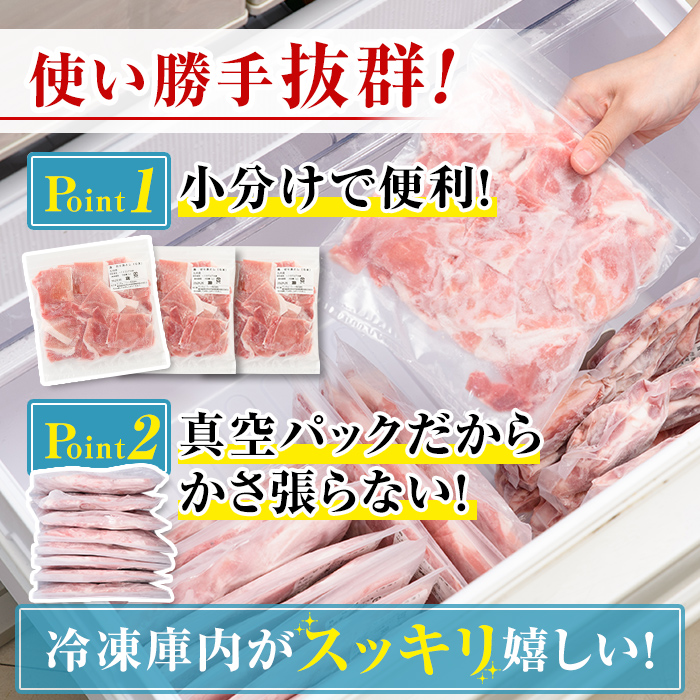 isa683 【定期便3回】小分け・真空パック！九州産豚肉3種セット(合計9.3kg・3.1kg×全3回)  バラスライス ロース とんかつ 生姜焼き 真空包装 真空パック 小分け ぶたにく 豚 肉 詰合せ 詰め合わせ 食べ比べ 冷凍 【サンキョーミート株式会社】