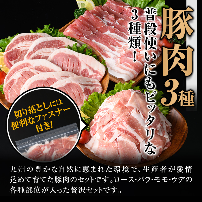 isa683 【定期便3回】小分け・真空パック！九州産豚肉3種セット(合計9.3kg・3.1kg×全3回)  バラスライス ロース とんかつ 生姜焼き 真空包装 真空パック 小分け ぶたにく 豚 肉 詰合せ 詰め合わせ 食べ比べ 冷凍 【サンキョーミート株式会社】